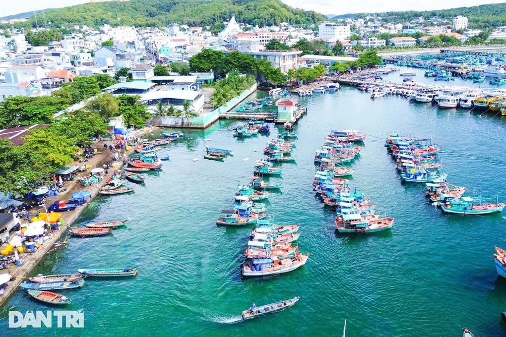 Tin tức 1