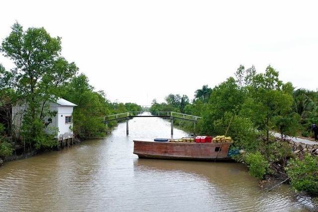 Tin tức 1