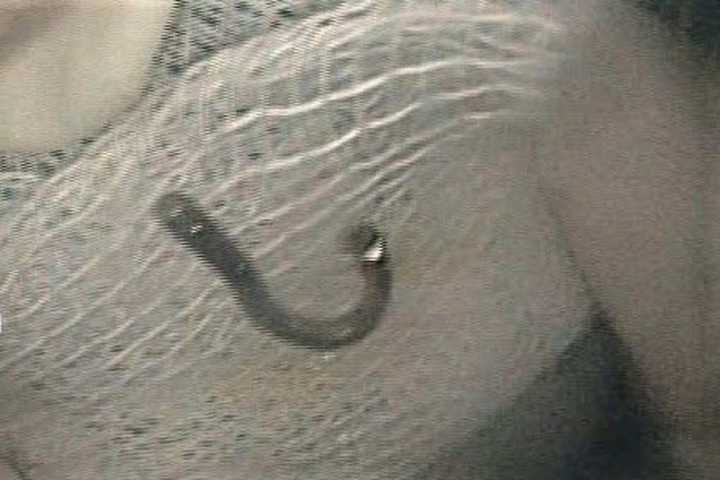 Tin tức 1