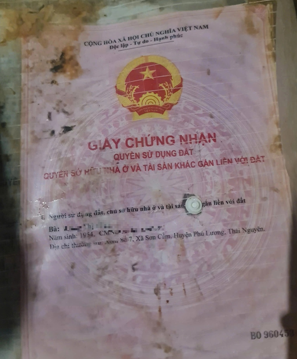 Tin tức 1