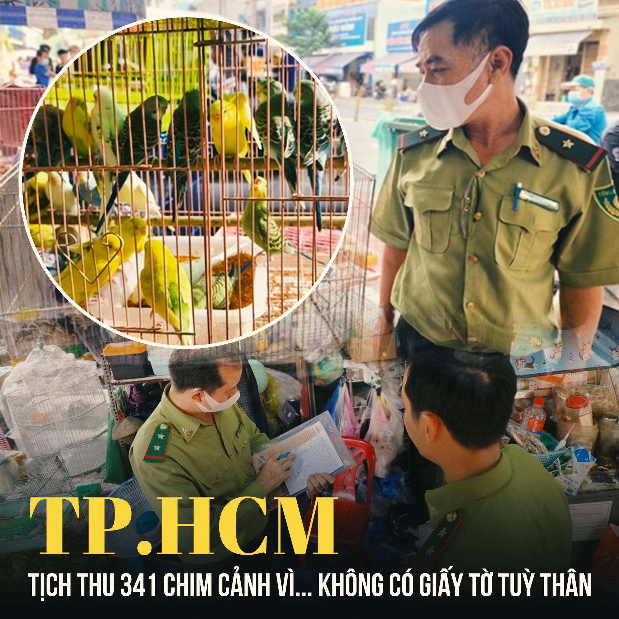 Tin tức 1