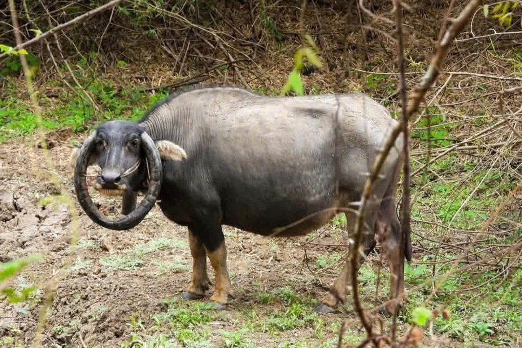 Tin tức 1