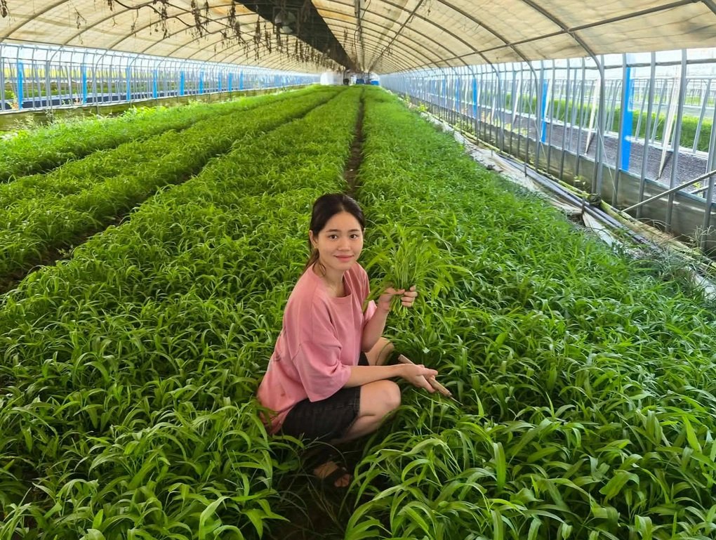 Tin tức 1