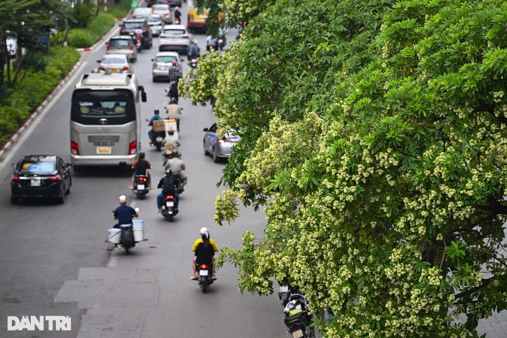Tin tức 1
