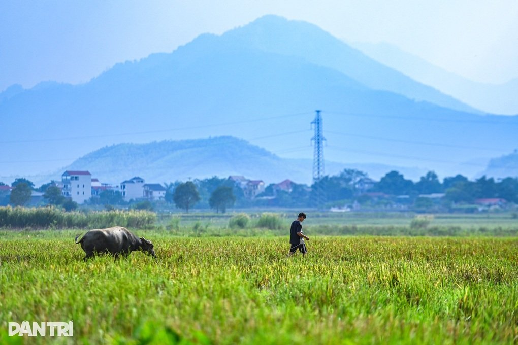 Tin tức 1